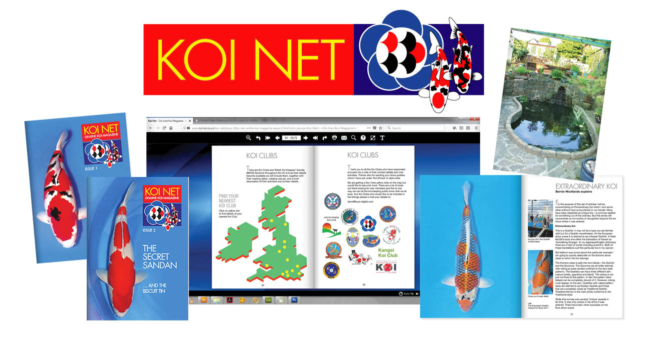 Koi Net Logo and Picture Montage